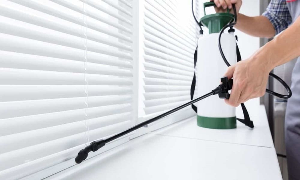 كيفية تحديد الأسعار الخاصة بشركة شاين اون