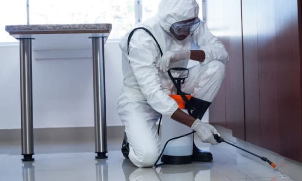 مكافحة حشرات وقوراض بقطر