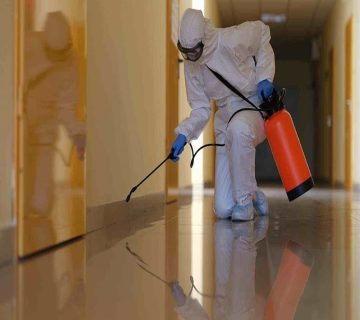 مكافحة الفئران بقطر