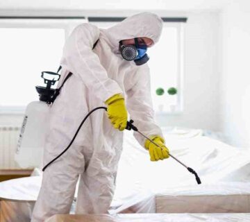 أفضل شركة رش البيوت من الحشرات