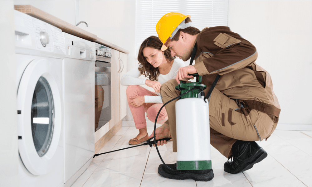 شركة القشاش مكافحة حشرات قطر