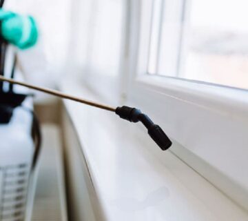 شركة مكافحة حشرات في قطر لا حشرات بعد اليوم